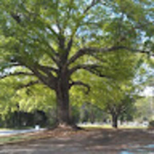 Meet your Posher, Shawn